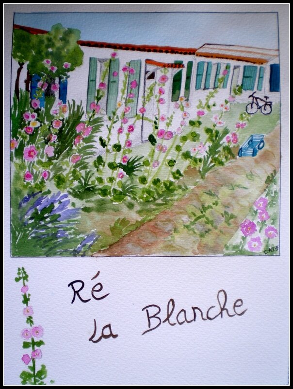 Ré La Blanche 003-001