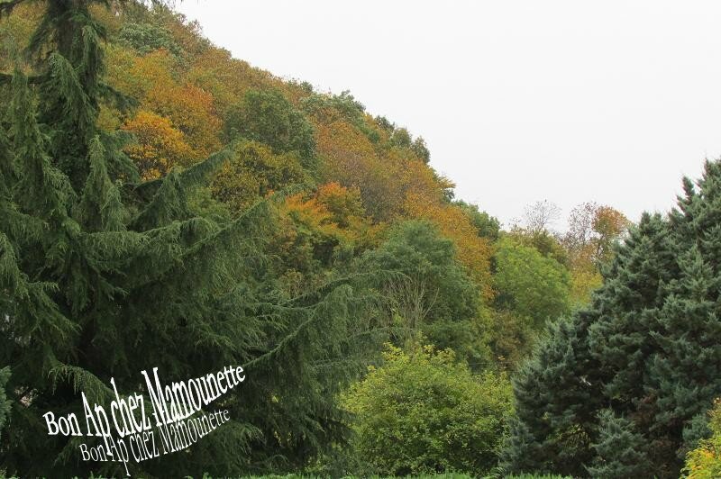 Automne et ses couleurs octobre 003