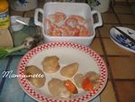 Raviolis_wontons_aux_st_Jacques__crevettes_et_ciboule_002
