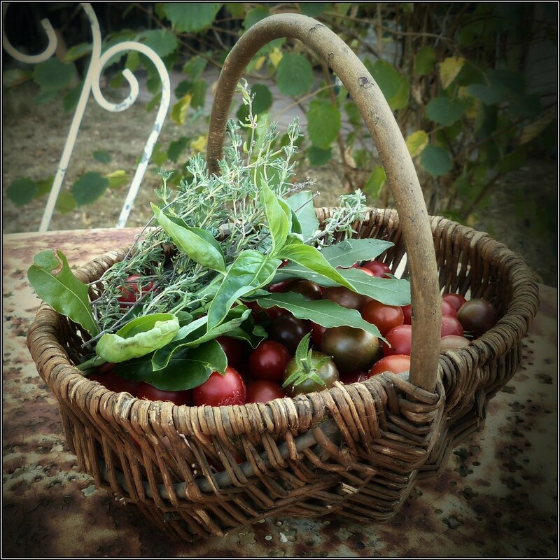 panier de tomates