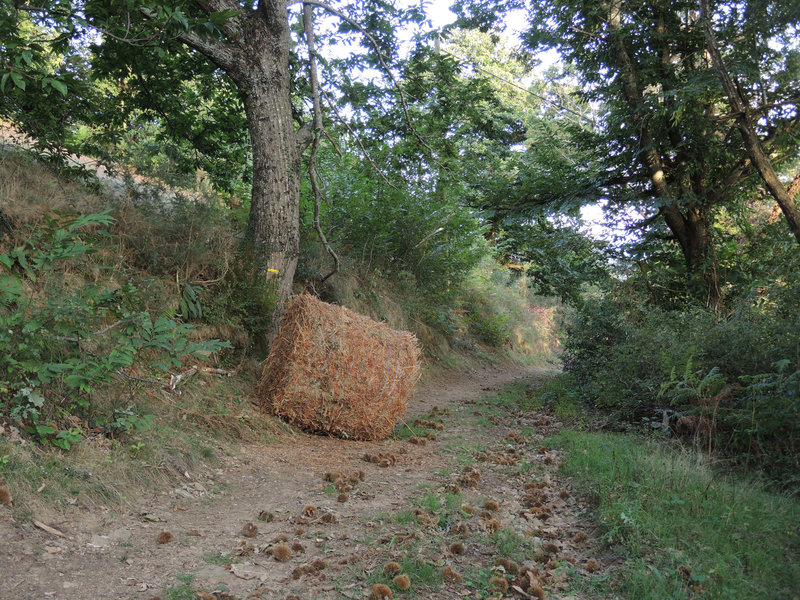 Mont Ursuya, sentier, balisage (64)
