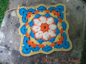 african_flower_in_progres_square_2