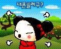 pucca_gallery_06