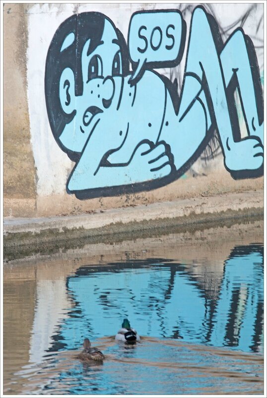 ville graff SOS canards 1 281216
