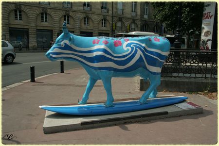 surfer_cow