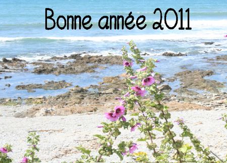 bonne_ann_e_2011