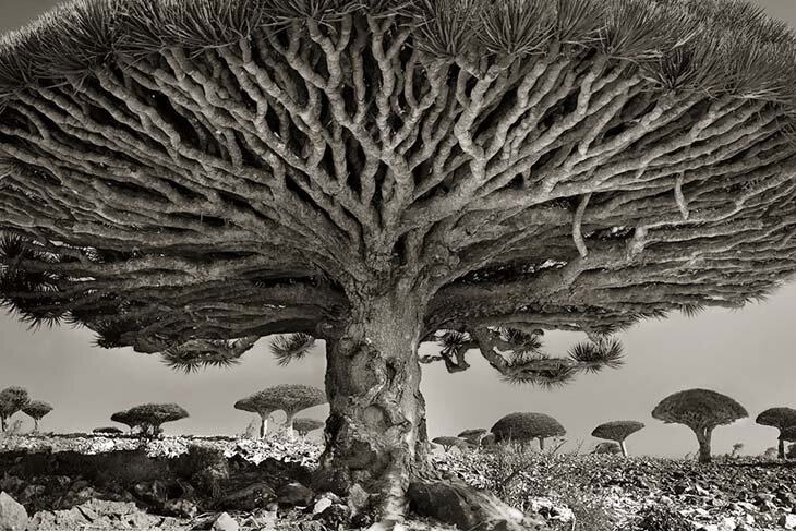 ARBR 1 Beth Moon