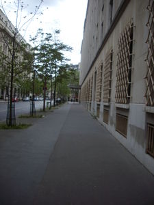 IMGP3787
