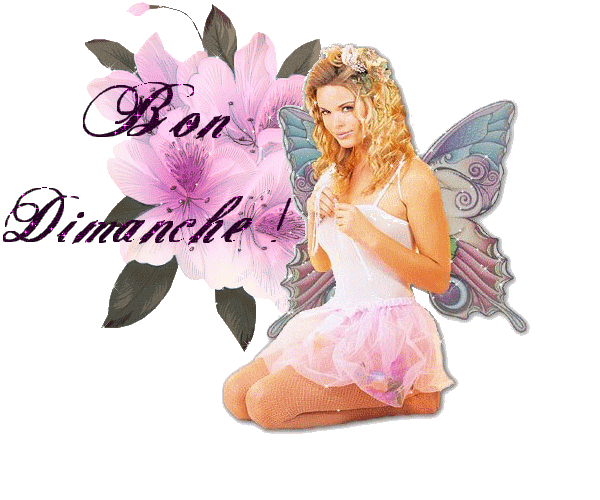 7 b di femme papillonBPat21