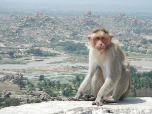 2012_08_20 Hampi - 2nd jour ! (137)