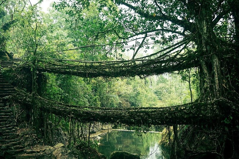 the root bridge en inde