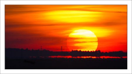 lever_soleil_Oleron_pont_Martroux_oiseaux_221010