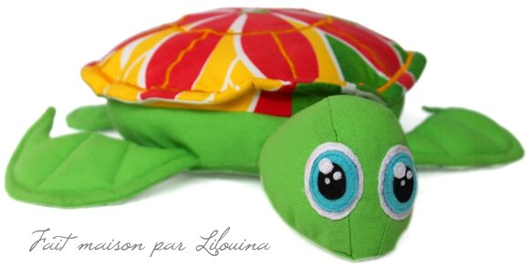 tortue04