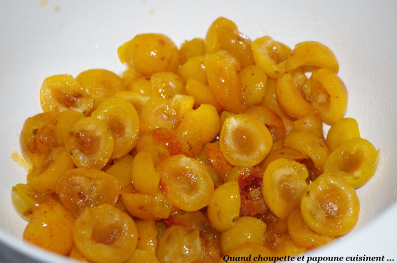 gâteau yaourt à la mirabelles-6260