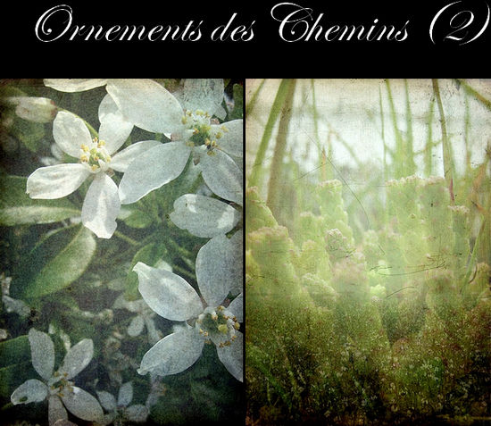 196_ornements_des_chemins2