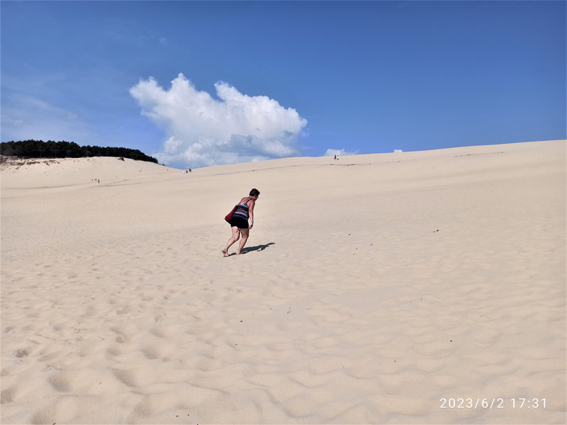 Dune du Pila (26-1)