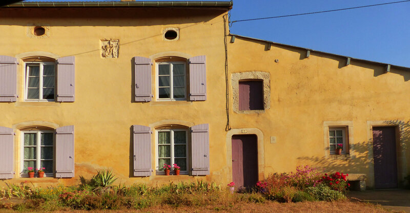 P1550387
