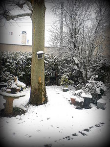 DSCN2926