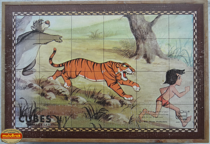 KB5 Livre Jungle muluBrok (2)