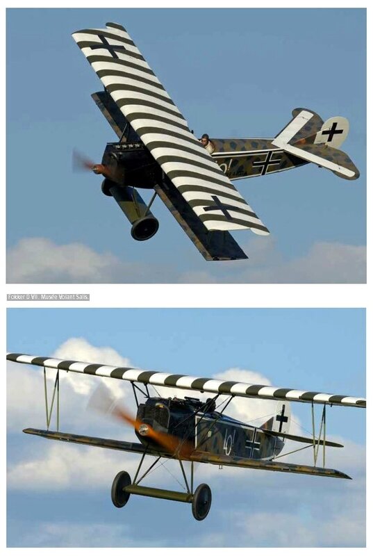 aviation papypore7JPG