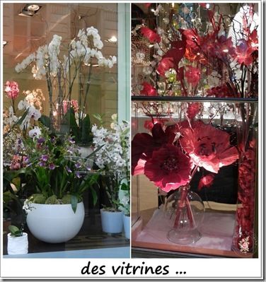 vitrines