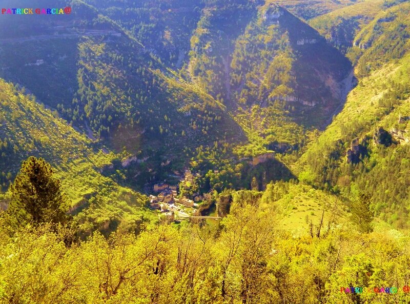 GORGES DU TARN PANORAMA POUGNADOIRES 965 copie