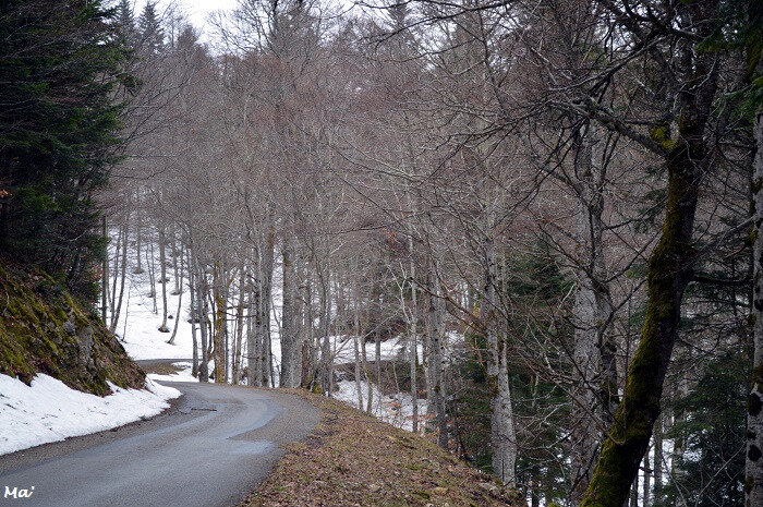 190309_grand_Echaillon_col_Lion_5