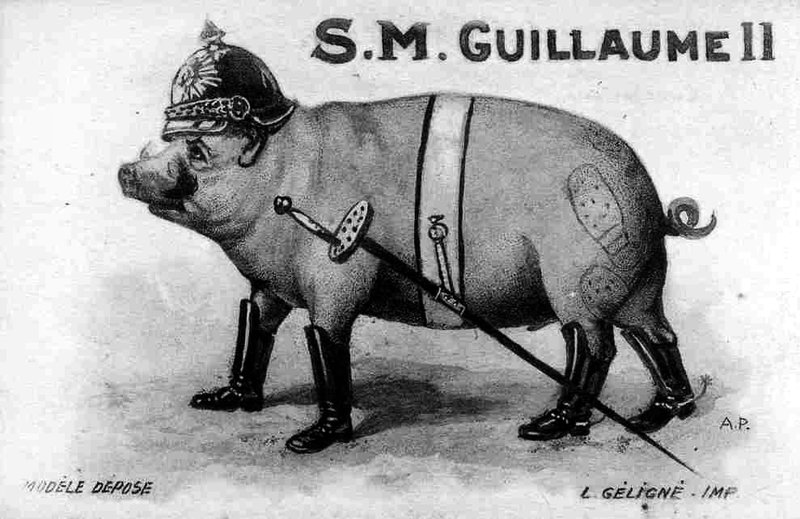 Cochon guillaume