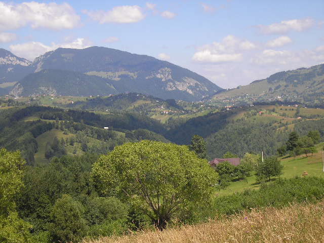 P7140262