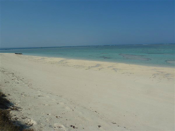 P1050603