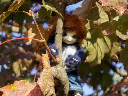 PUKIFEE_C_lia_and_the_autumn_leaves_2