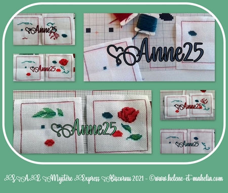 anne25_salbisc21_col2