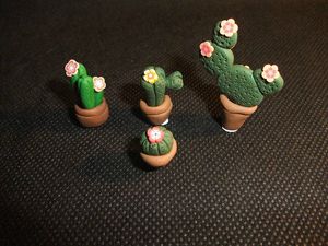 cactus crèche