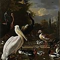 <b>Melchior</b> d'<b>Hondecoeter</b>, A pelican and other birds in a water basin, known as' the floating feather, ca. 1680