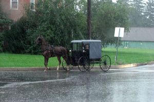 2476 Lancaster Buggy des Amish