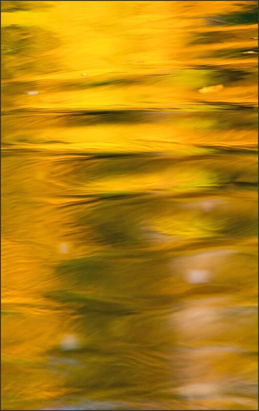 automne reflets rectangle 251015