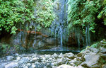 Les_25_fontes_2