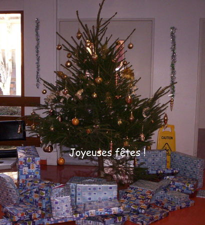 sapin_2009