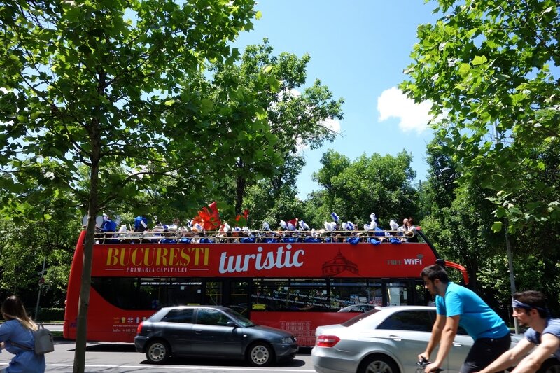 sightseing fanfare