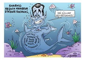 Requin reforme