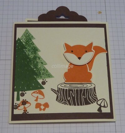 foxy9