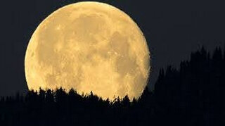 Lune-Pleine jaune