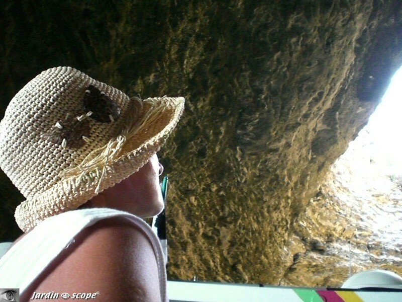 Bonifacio - découverte de la grotte sdragonatto