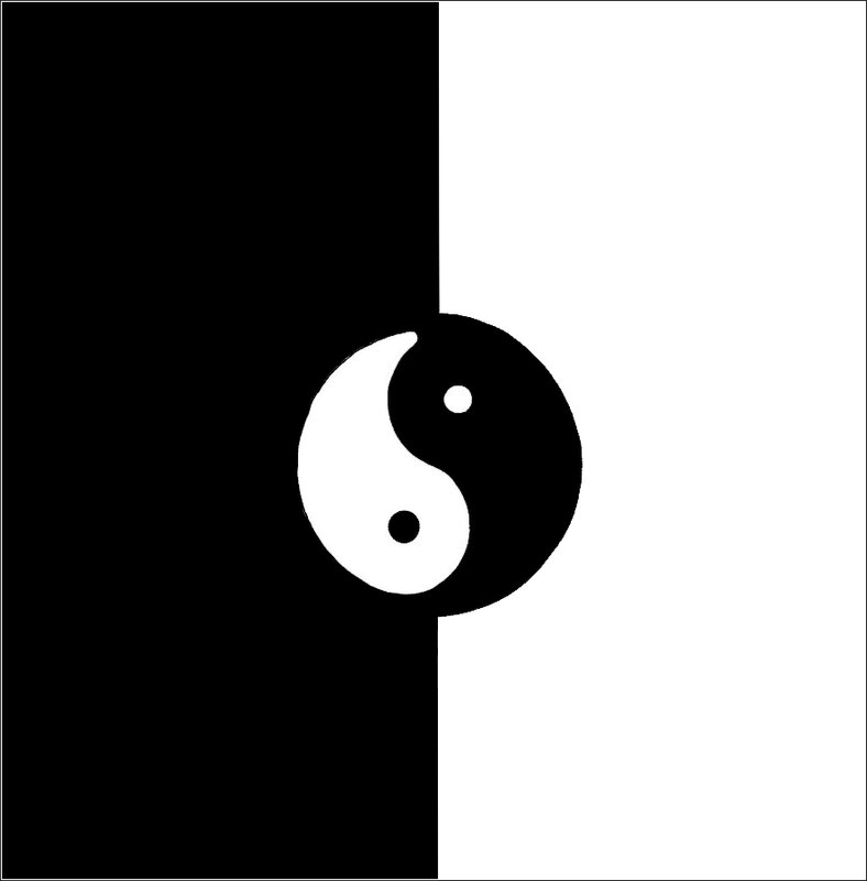 yin yang web