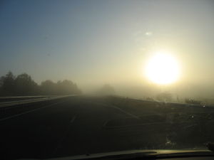 IMG_0183