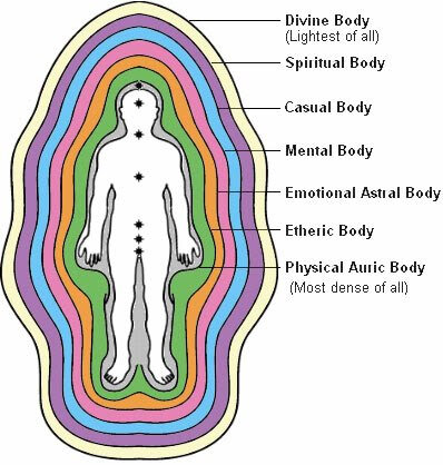 human_aura_fields-01 (1)