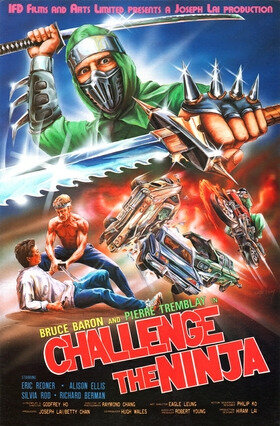 Challenge The Ninja - Affiche