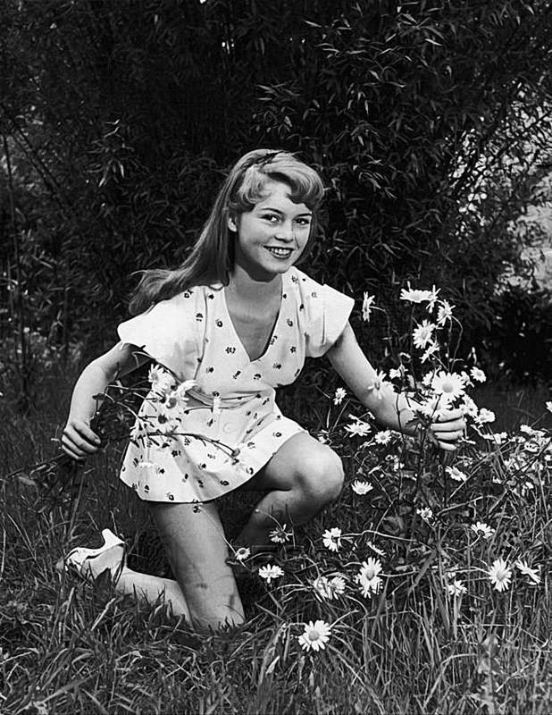 1952-louveciennes-prairie-010-1