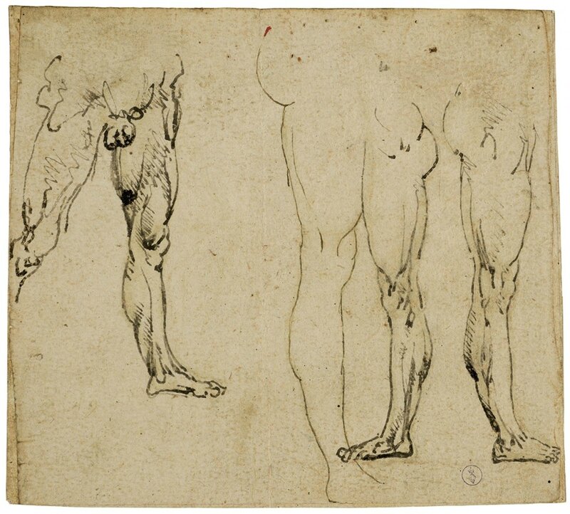 Leonardo da Vinci, Studies of Male Legs (recto)