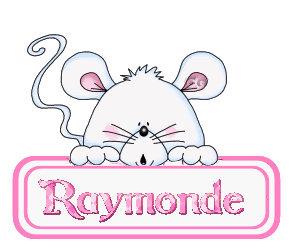 Raymonde-Copie